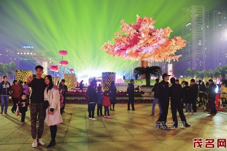 游人在文化广场的“鸿运树”前拍照留影<br>