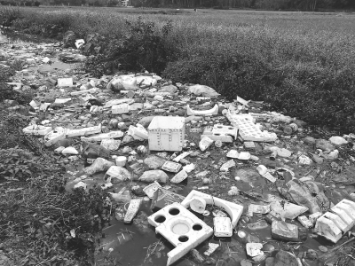 那务镇礼村村前的一条小河两公里内都漂浮着垃圾，成了名副其实的垃圾河。 通讯员茂健摄<br>