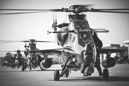 陆军第73集团军某陆航旅直升机通电检查，准备起飞（1月16日摄）。<br>