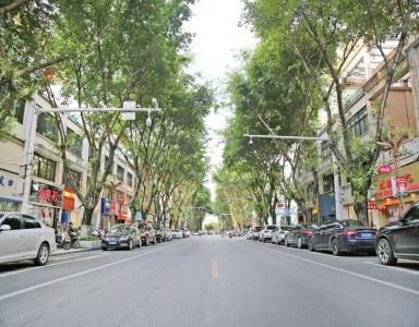 　　贺州城区主干道均已重新划定路内停车位，实行智能收费管理。图为上海街。<br>