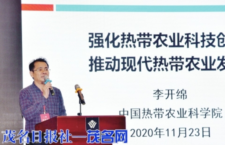 中国热带农业科学院副院长李开绵作专题报告。<br>