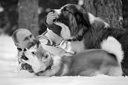 超级爱犬者普京时不时地会秀一下与他最爱的牧羊犬“巴菲”和秋田犬“小梦”的亲密关系<br>