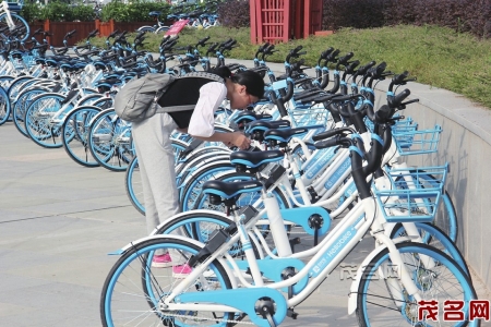 共享自行车的出现，为市民出行提供新的便利。茂名晚报记者吴昊摄<br>