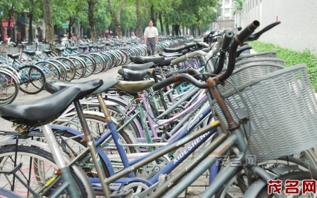 自行车出行曾经是市民的首选方式（资料图）。 茂名日报社全媒体记者黄信涛摄